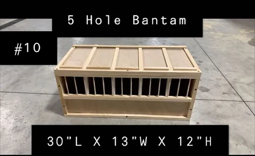 #10 5 Hole Bantam