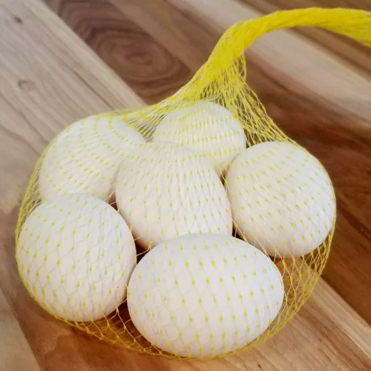 Boston Roundhead Hatching Eggs For Sale