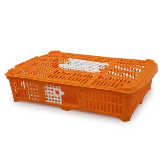 Quail Crate For Sale