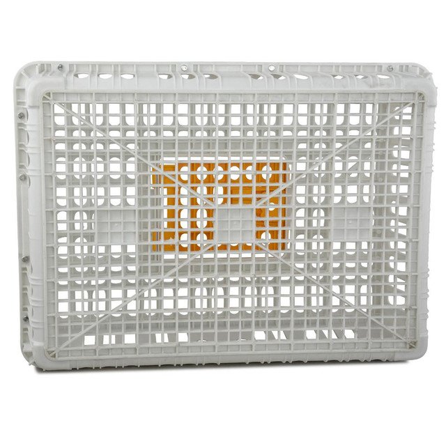 Poultry Crate For Sale - Image 2