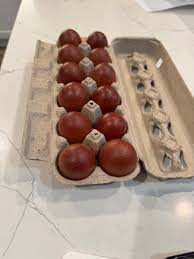 black copper marans eggs for sale - Image 4