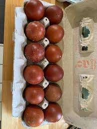 black copper marans eggs for sale - Image 5