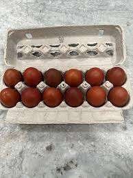 black copper marans eggs for sale - Image 3