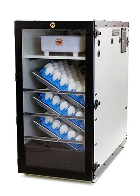 Clear Door for New Cabinet Incubators
