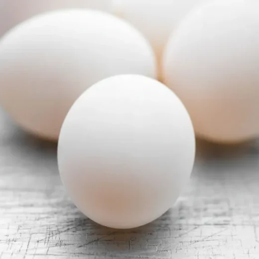 Buy fertile Magpie duck hatching eggs online