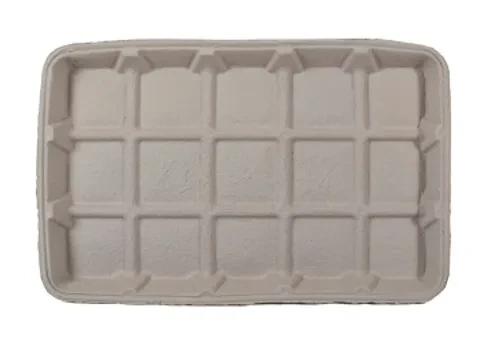 Paper Chick Feed Tray
