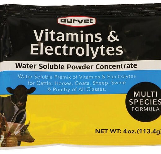 Durvet Vitamins & Electrolytes Concentrate