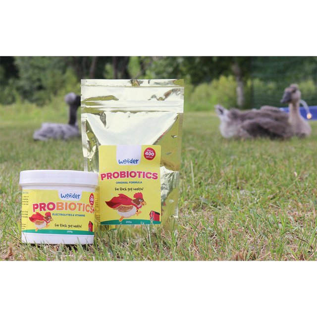 Probiotics+ w/ Electrolytes & Vitamins – 200 g - Image 2