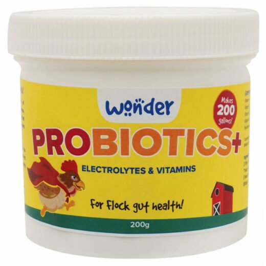 Probiotics+ w/ Electrolytes & Vitamins – 200 g