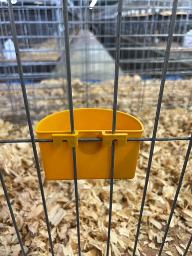 Pigeon Cage Cup with Sideways Tabs - Image 2